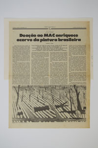 Doação ao MAC enriquece acervo da pintura brasileira